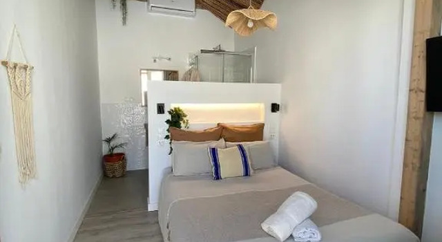 Двухместный номер Standard The Urban Jungle Hostel
