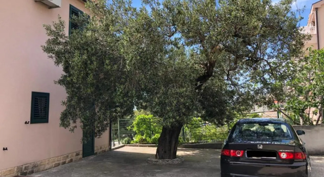 Апартаменты Villa Oliva