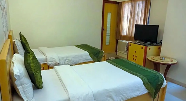 Номер Deluxe Treebo Paradise