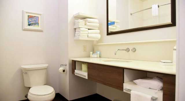 Четырёхместный номер Standard Hampton Inn Kalamazoo
