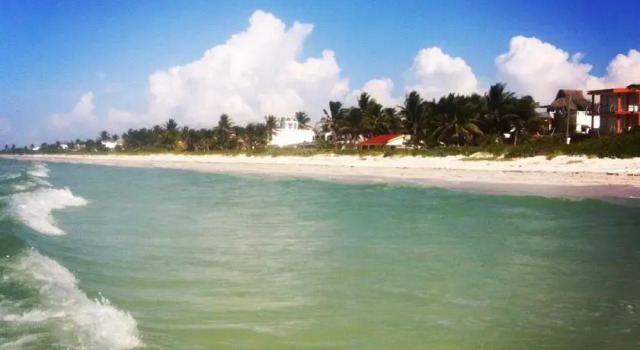 Estudio Kite 2