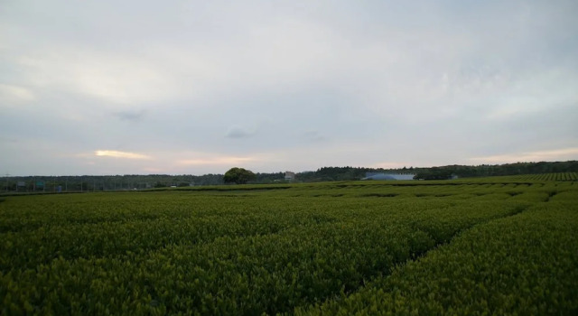 Двухместный семейный номер Standard с балконом Jeju Aerospace Hotel