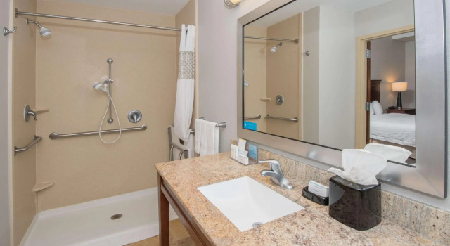 Двухместная студия Hampton Inn & Suites Selma-San Antonio/Randolph AFB