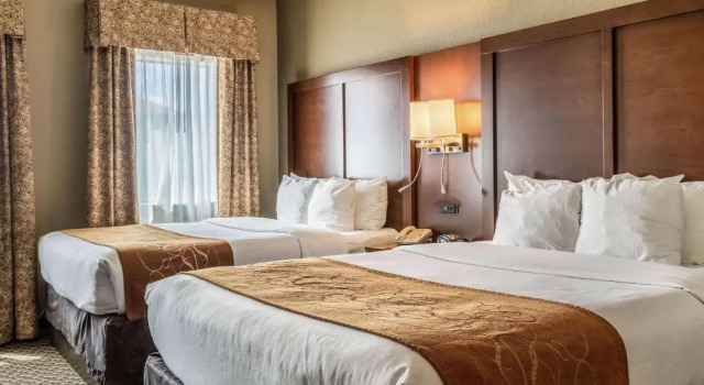 Четырёхместный номер Standard Comfort Suites Near Texas State University
