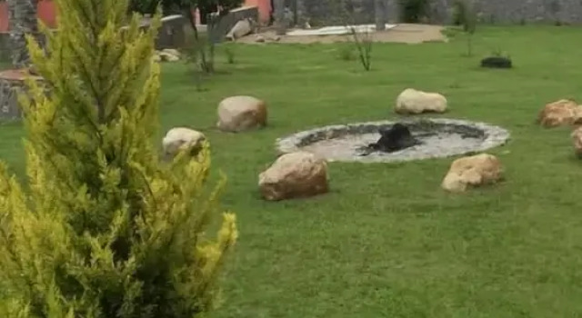 Casa de Campo y Cabañas Los Ángeles, Book Hotel Huasca De Ocampo Hidalgo