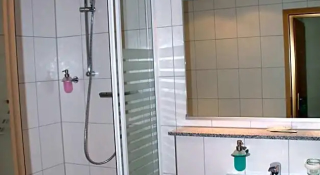Одноместный номер Economy Trip Inn Hotel Zum Riesen Hanau