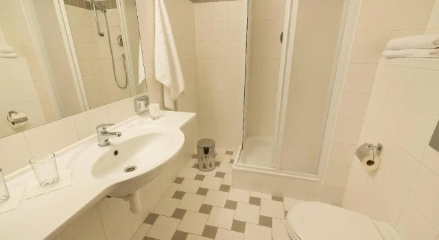Standardní Dvoulůžkový s manželskou postelí pokoj EA Hotel Populus