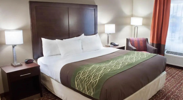 Номер Standard Comfort Inn & Suites Artesia