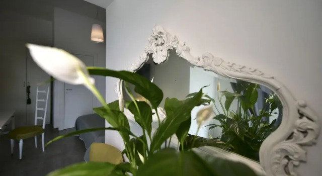 Deluxe Doppel Zimmer mit Poolblick Inkantu B&B