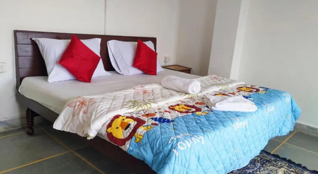 Двухместный номер Deluxe с видом на озеро Dreamyard Udaipur