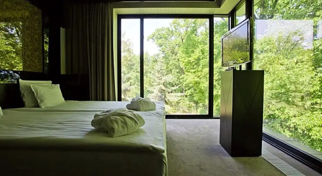 Двухместный люкс Platinum Palace Boutique Hotel & SPA