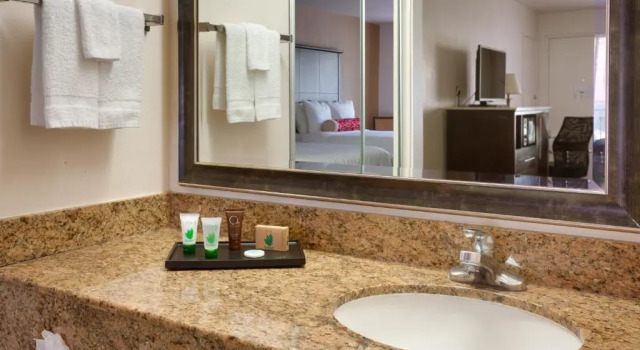 Двухместный номер Deluxe Cortona Inn and Suites Anaheim Resort