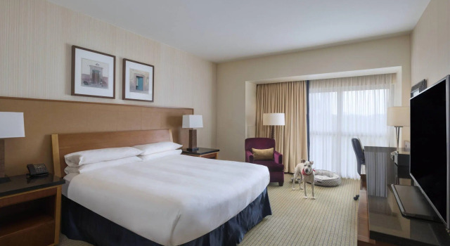 Двухместный номер Standard с балконом Отель The Ricardo Marriott DFW Westlake