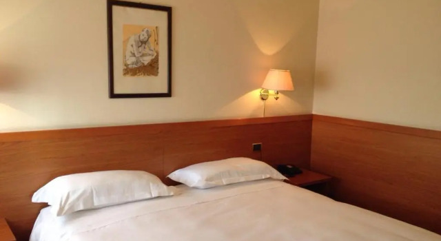 Двухместный номер Standard Hotel Palace