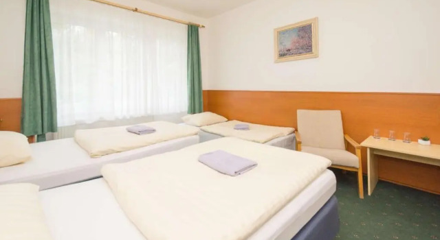 Трёхместный номер Standard Sport Hotel Gejzirpark