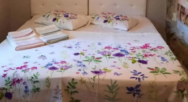Bozcaada Yeşilyol Taşev, Rezerwuj Dom wakacyjny Domki letniskowe w Bozcaada, Domek