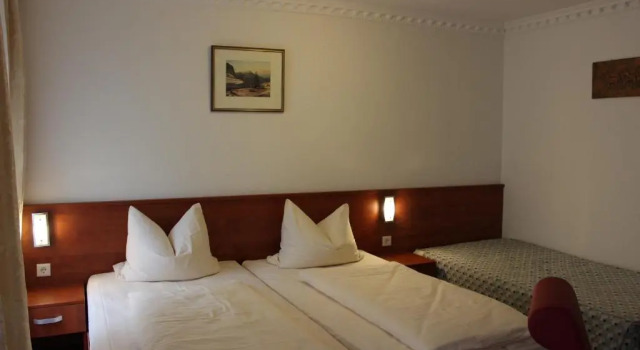 Номер Standard Hotel zu den Burgen