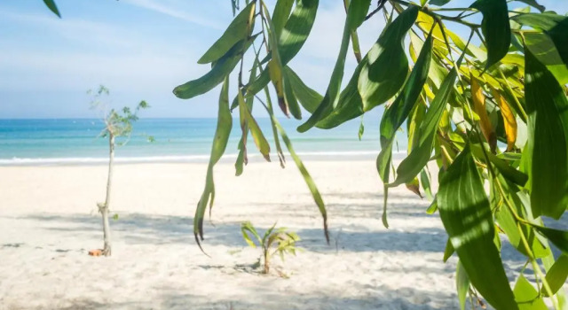 Robinson Beach Bungalow, Prenota Hotel Song Cau Phu Yen