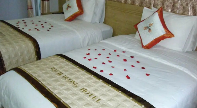 SPOT ON 772 Hien Thu Guest House