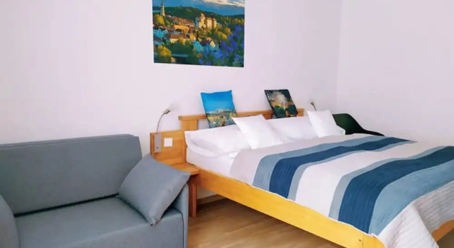Номер Comfort Hotel Garni Villa Areka