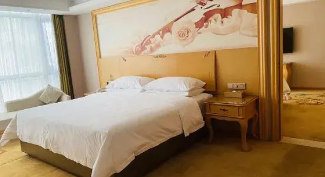 Люкс Superior Vienna Hotel (Yizhou Sankeshu)