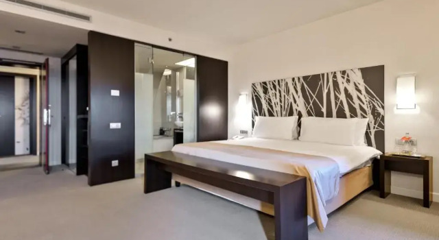 Двухместный полулюкс Ramada Plaza by Wyndham Bucharest Convention Center