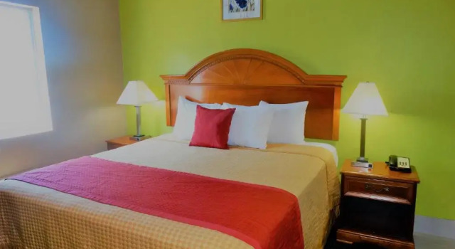 Standard- værelse Oak Tree Inn & Suites