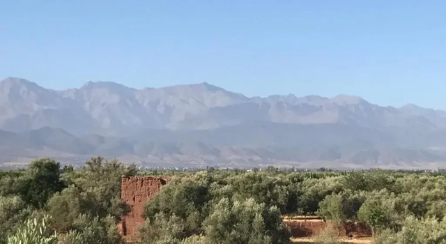 Вилла Villa La Zitoune
