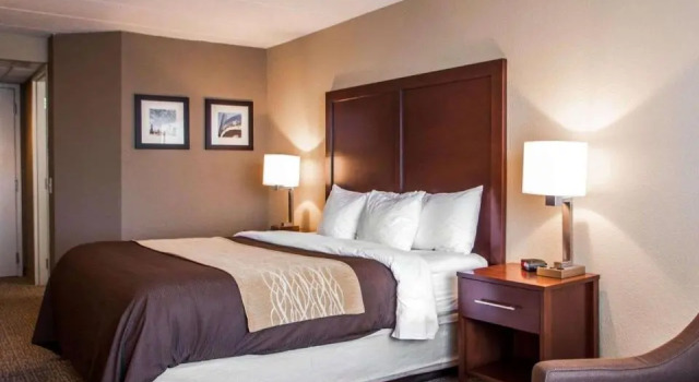 Номер Standard Quality Inn & Suites Orland Park - Chicago