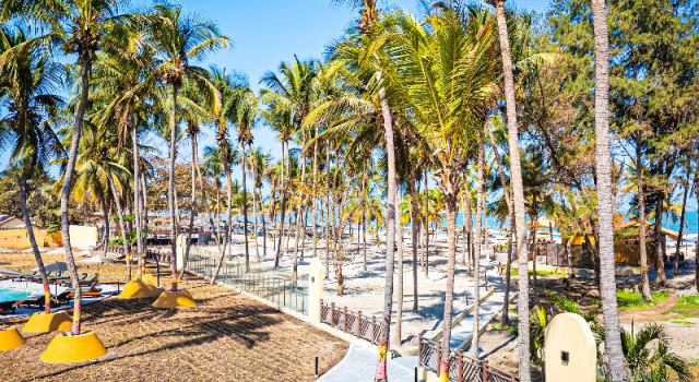 Двухместный номер Premium с видом на океан Palm Beach Resort