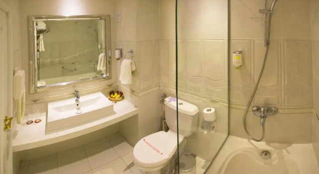 Двухместный номер Luxury Spa Hotel Rich