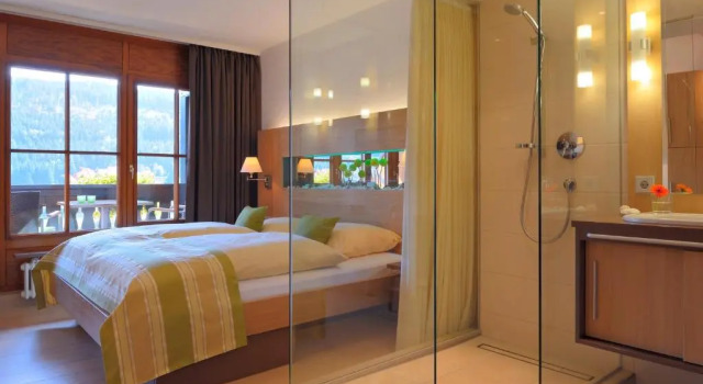Двухместный номер Premier с балконом и с видом на озеро Alemannenhof - Boutique Hotel am Titisee