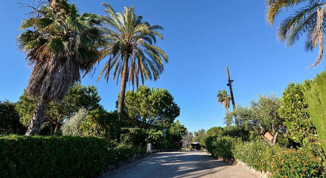 Villa Algarrobo