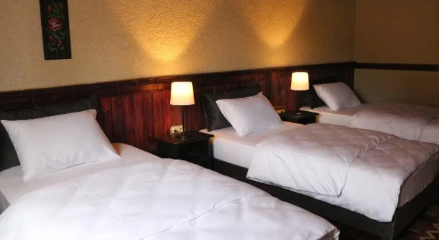 Camera Standard Zifin Hotel