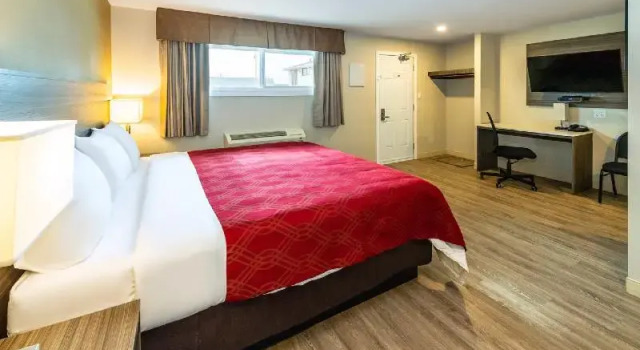 Люкс Econo Lodge Inn & Suites