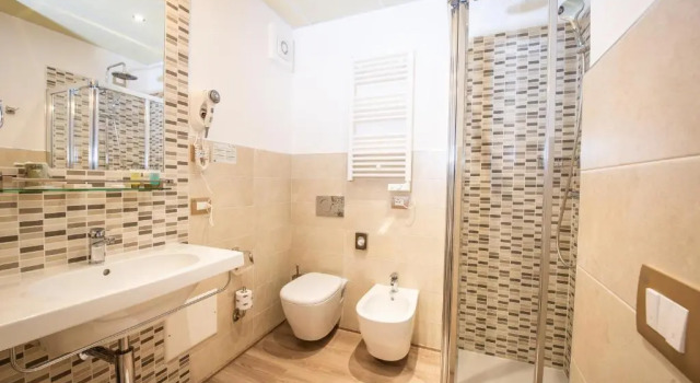 Одноместный номер Standard Hotel Rosa