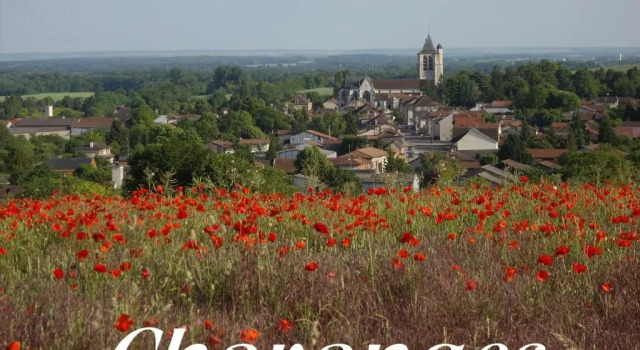 Коттедж c 1 комнатой Meublé de tourisme Le Gilliard