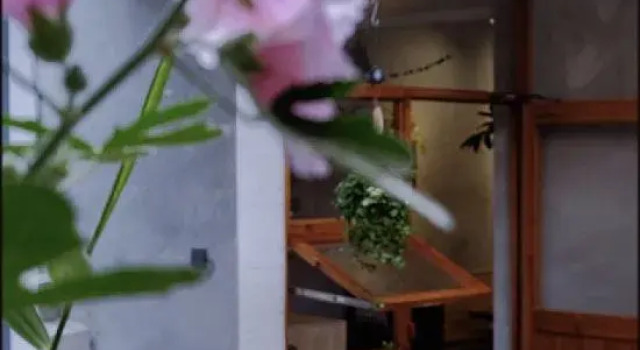 Xi 'an Bottle flower Coffee Hostel, Prenota Ostello Hotel a Shaanxi con parcheggio, Parcheggio