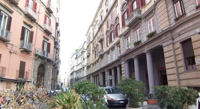 NAPOLIXSUITE