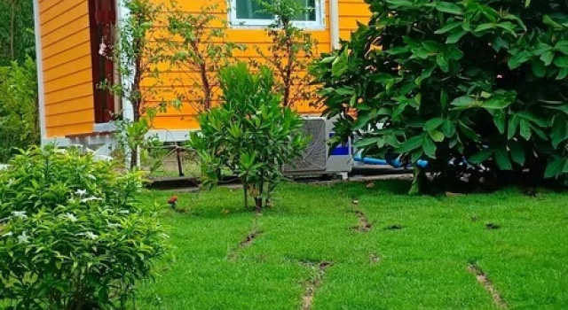 Номер Standard Suansuppachok Inn