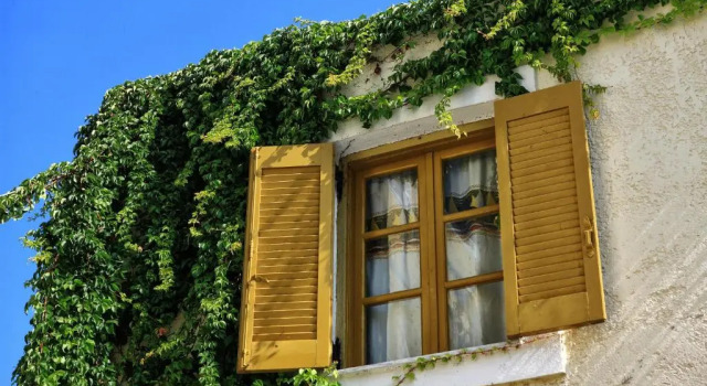 Студия Stelva Villas
