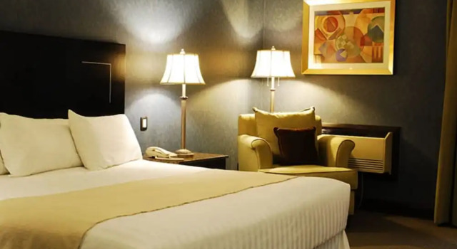 Одноместный номер Standard Royal Garden Reynosa
