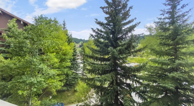 24b Powder Run 2 Bedroom Condo by RedAwning