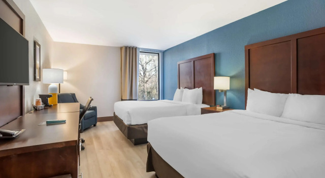 Четырёхместный номер Standard Comfort Inn Charlotte Airport Uptown