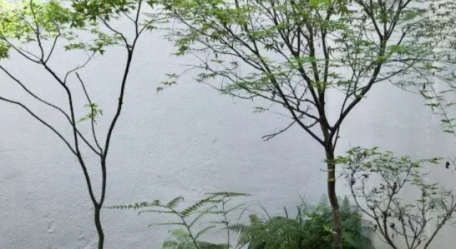 Ruyuan Homestay (Sansuci)