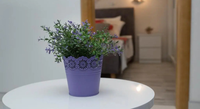 Апартаменты Comfort Apartments Paradis