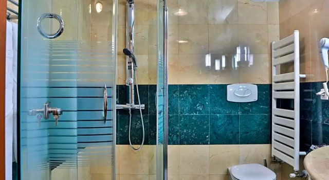 Standard Zimmer Complex Silva