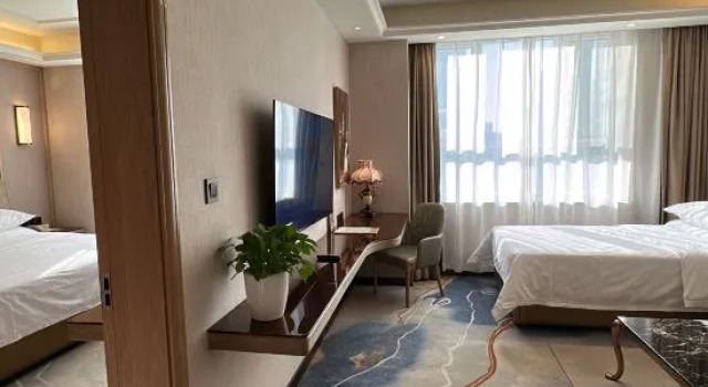 Люкс Deluxe Vienna International Hotel (Urumqi Wanda High-speed Railway Station)