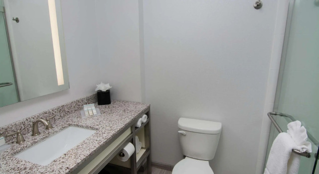 Двухместный полулюкс Hilton Garden Inn Tampa Suncoast Parkway