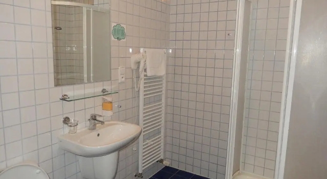 Трёхместный номер Standard Hotel Buchlov